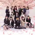 Sakuranamiki