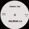 Stylus - Paolo Faz lyrics
