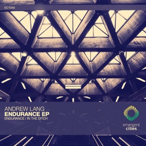 Endurance / in the Ditch - Single