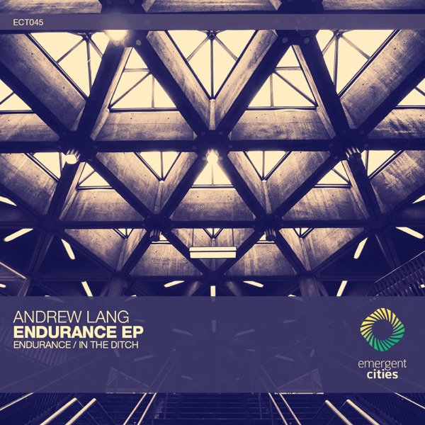 Endurance / in the Ditch - Single