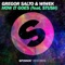 How It Goes (feat. Stush) - Gregor Salto & Wiwek lyrics