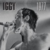 Iggy Pop