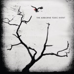 The Airborne Toxic Event - Sometime Around Midnight