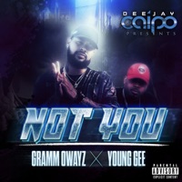 Not You (feat. Gramm Owayz & Young Gee) - Single - Dj Caipo