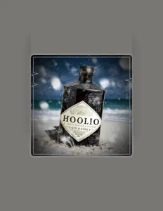 收听 Hoolio、观看音乐视频、阅读小传、查看巡演日期等 ！