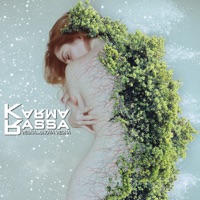 Album cover for Leto by Karma Rassa