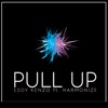 Pull Up - Single