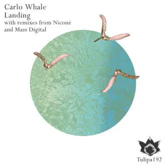 Landing - Single by Carlo Whale album reviews, ratings, credits