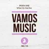 Inaya Day - What Do You See (Dave Rose & Maurizio Basilotta Remix)