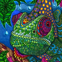 Lucid Dreams - Single - Sage 808