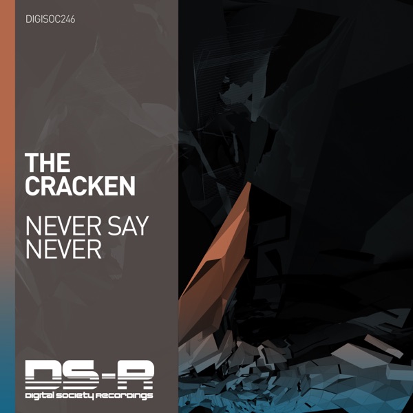 Never Say Never - Single