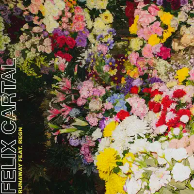 Runaway (feat. Regn) - Single - Felix Cartal
