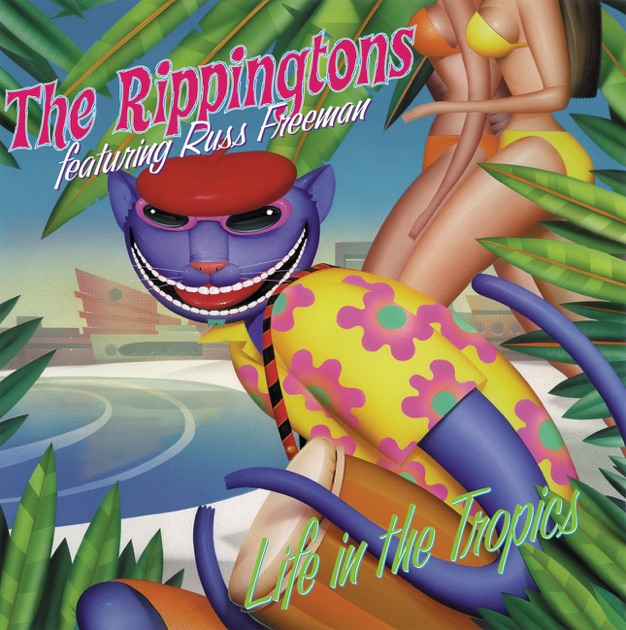 B103 The Rippingtons CD セット　ザ・リッピントンズ 2025年最新】Yahoo!オークション -the rippingtons(CD)の中古品