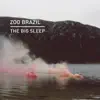 Zoo Brazil - Shift