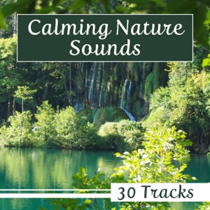 Calming Nature Sounds - 30 Tracks with Super Relaxing Music for Peaceful Sleep, Relaxation & Stress Relief