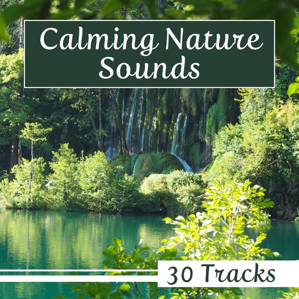 Calming Nature Sounds - 30 Tracks with Super Relaxing Music for Peaceful Sleep, Relaxation & Stress Relief