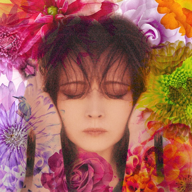 中森明菜シングルス27 1982-1991 - 中森明菜のアルバム - Apple