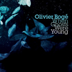 Olivier Bogé - As Spark Hits the Shadows