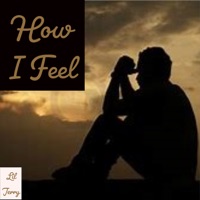 How I Feel - Single - Lil Jerry