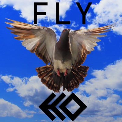 Fly - Single