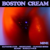 Boston Cream - Night Light