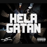 Hela Gatan (feat. Big Willy, Mourphy & Post Cod) - Single - Shock Collective