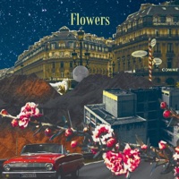 Flowers - Mayaewk