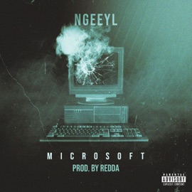 Microsoft NGeeYL