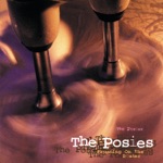 The Posies - Burn & Shine