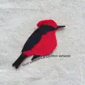 Morir Soñando