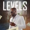 Levels (feat. Solidstar) - Single