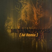 Metamorphosis (Lvl Remix) artwork