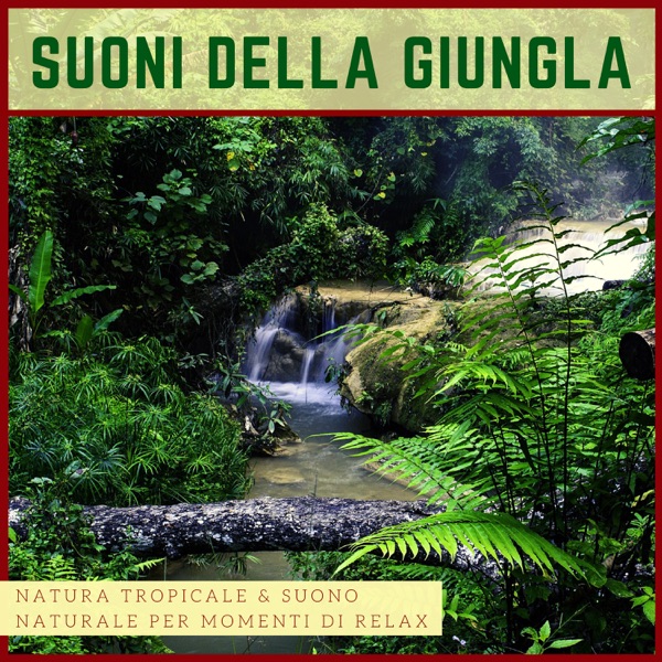 Suoni della Giungla - Natura Tropicale & Suono Naturale per Momenti di Relax