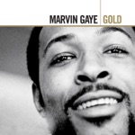 Marvin Gaye - Distant Lover