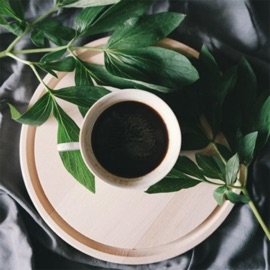 Seaside Cafe Cat Naps