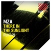There in the Sunlight - Single