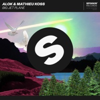 Big Jet Plane - Single - Alok & Mathieu Koss