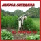 Ni Dada La Quiero - Musica Sierreña lyrics