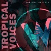 Ruben Sanchez Mi Canto (Ruben Sanchez Remix) Tropical Voices