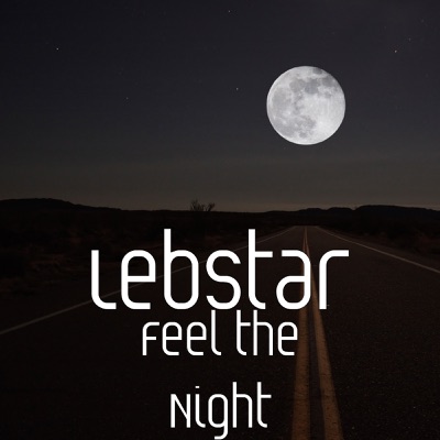 Feel the Night - Single