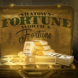 Don't Say My Name (feat. Jeff) Shatown