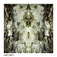 Voice of the Forest - Single - Andy Leech