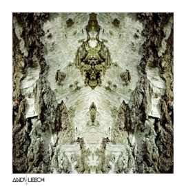Voice of the Forest Andy Leech