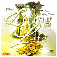 Living the Life (feat. Terex Nuhbrakes) - Single - Blizzi