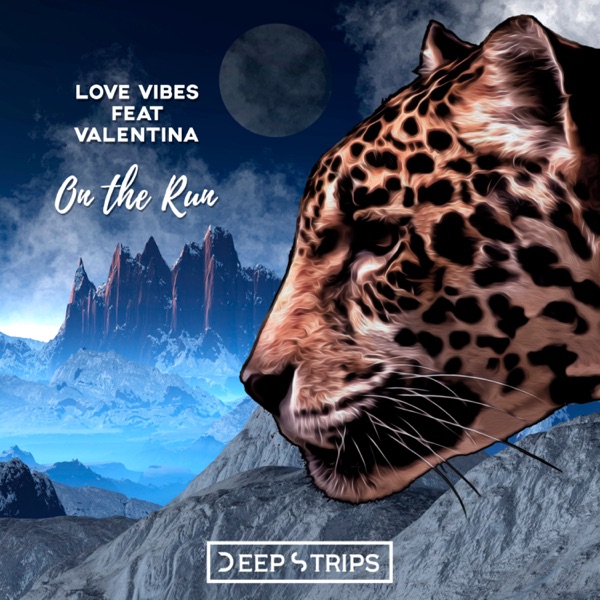 On the Run - Single