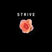 Strive artwork