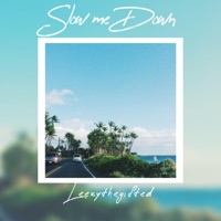 Slow Me Down - Single - Leezythegifted