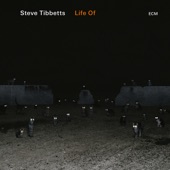 Life of Joel - Steve Tibbetts