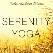 Serenity Yoga: Calm Ambient Music for Inner Peace, Stress Relieve Exercises artwork