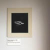 Synthetic - Single